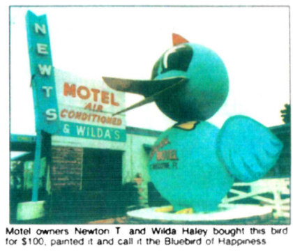 Original Vilano Beach Bluebird. Motel owners Newton T and Wilda Haley bought this bird for $100. painted it and call it the Bluebird of Happiness.