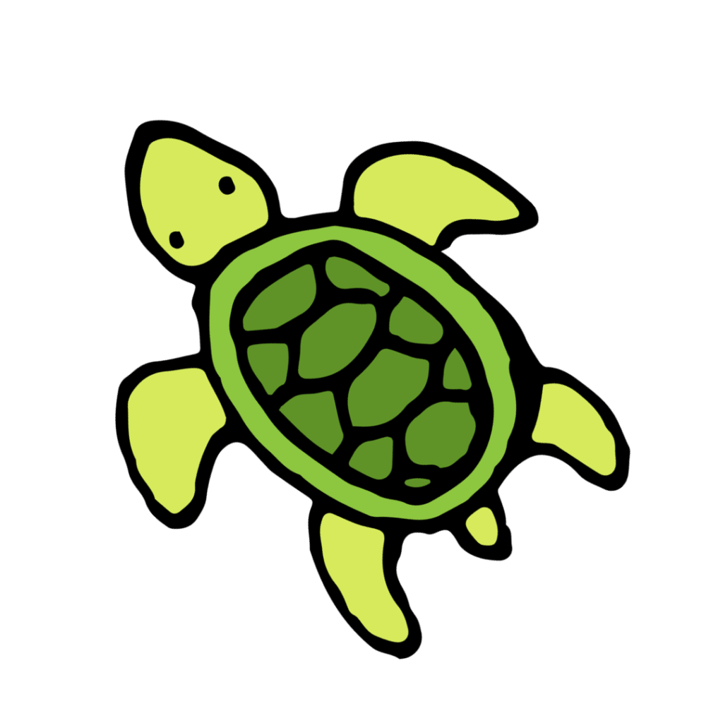 Sea turtle graphic