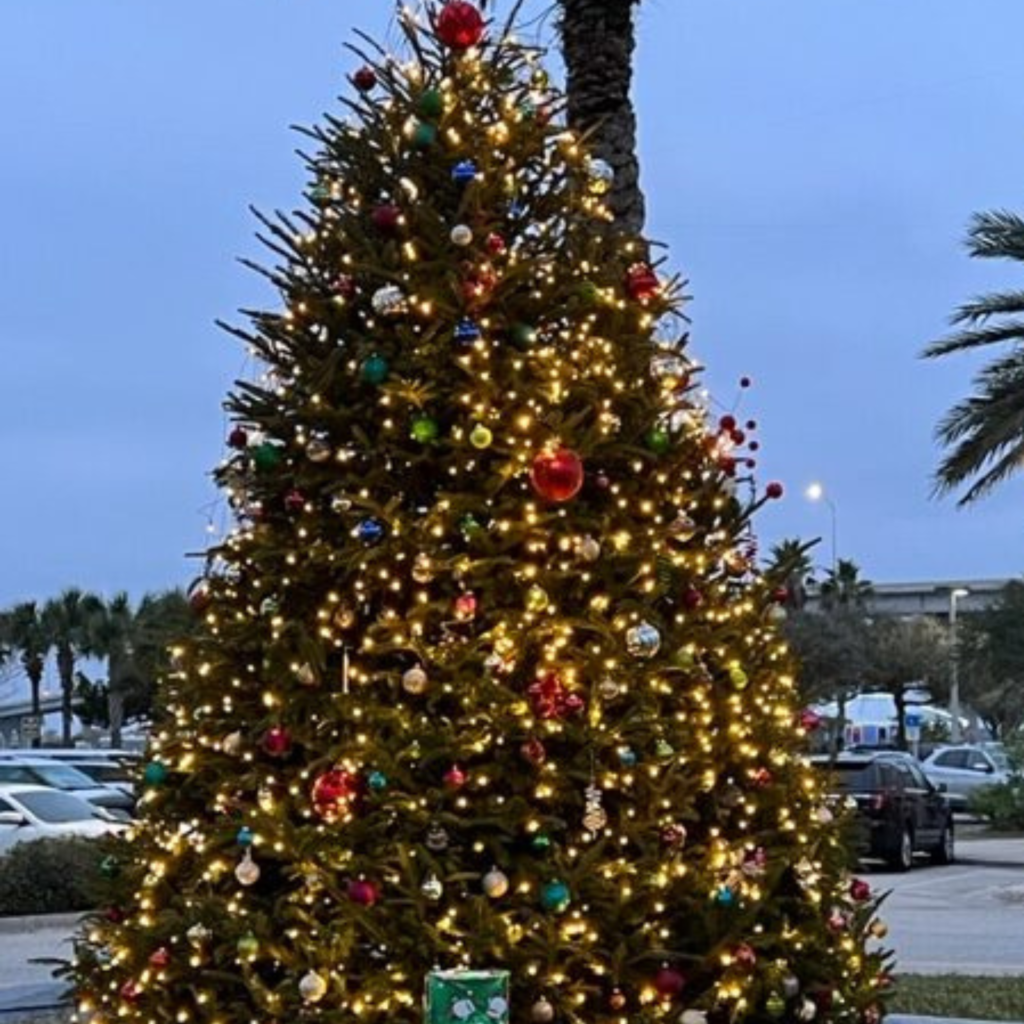 Image of Christmas Tree in Vilano Beach.